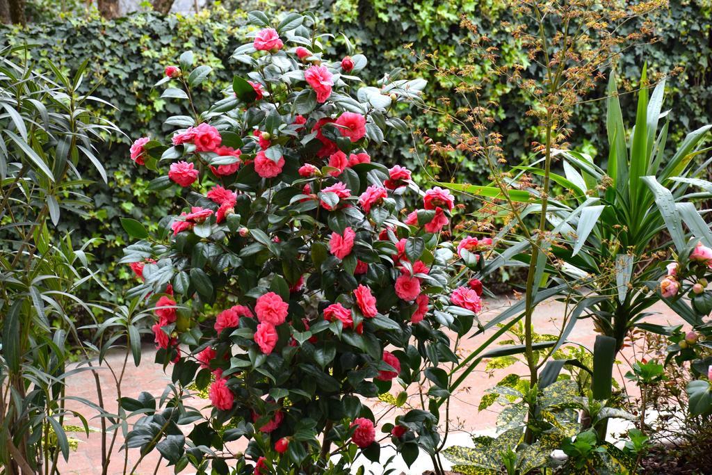 B&B Leonardo Rho Extérieur photo